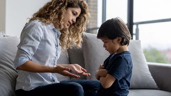 image of Emotional Regulation and Self-Management